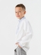 Сорочка з вишивкою для хлопчика КОЗАЧЕК МИХАЙЛИК 152 см Різнокольоровий (2000990305046D) Фото 5 з 13