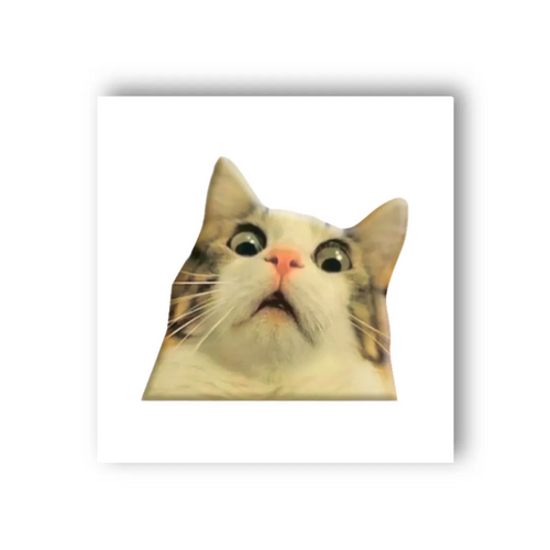 Фото 3D-стикер "Мем удивленный котик" Tattooshka SX-27 (4829000011047)