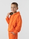 Костюм худи+штаны детский Dinomin DM2401 140 см Оранжевый (2000990557940D) Фото 7 из 19