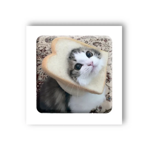 Фото 3D-стикер "Мем смешной кот" Tattooshka SX-26 (4829000011030)