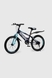 Велосипед детский DOUMOER LH112927 20" Синий (2000990469755) Фото 2 из 9