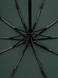 Зонт мужской 559-8 Зеленый (2000990547118А) Фото 4 из 8