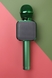 Караоке микрофон USB, Bluetooth MingXing WS-1818 Зелений (2000989375463) Фото 3 з 4