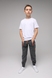 Спортивні штани для хлопчика з принтом Pitiki 1006-3 158 см Сірий (2000989523734D) Фото 4 з 13