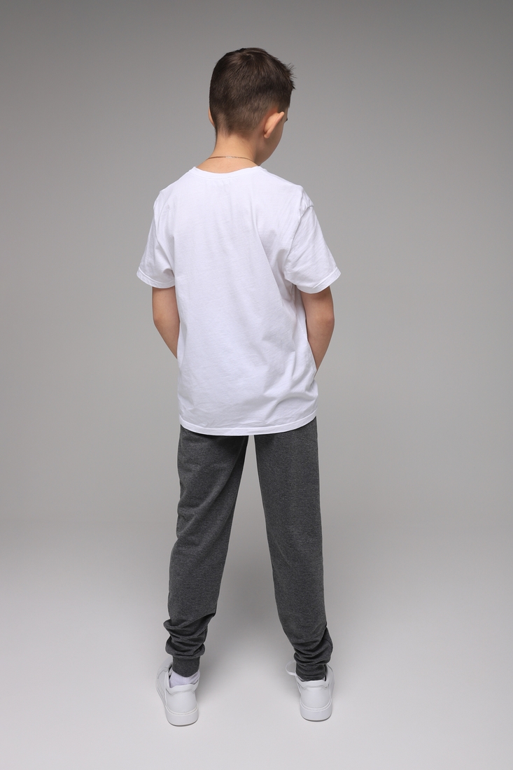 Фото Спортивні штани для хлопчика з принтом Pitiki 1006-3 176 см Сірий (2000989523772D)