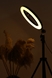 Лампа кольцевая 30 см + тренога 2,1 м MJ-30 (2000989456797) Фото 10 из 24