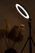 Лампа кольцевая 30 см + тренога 2,1 м MJ-30 (2000989456797) Фото 8 из 24