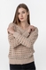 Пуловер однотонний жіночий Femme 1016 One Size Бежевий (2000989871156D) Фото 1 з 10
