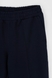 Спортивні штани чоловічі Tommy life 84994 2XL Темно-синій (2000989983446D) Фото 9 з 13