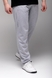Спортивні штани чоловічі CLUB ju CJU1041 6XL Світло-сірий (2000989406860D) Фото 1 з 10