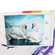Набор для творчества Babylon DIY живопись по номерам Пара лебедей (2000903605270) Фото 1 из 6