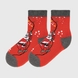 Шкарпетки для хлопчика Ceburahka 20527 11-12 Червоний (2000990162069А)(NY) Фото 5 з 6