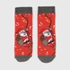 Шкарпетки для хлопчика Ceburahka 20527 11-12 Червоний (2000990162069А)(NY) Фото 1 з 6