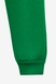 Костюм (реглан+штаны) детский SAFARI 110.1000 116 см Зеленый (2000989504191W) Фото 27 из 30