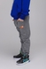 Спортивные штаны для мальчика однотонные Pitiki 3014-16 140 см Серый (2000989523147D) Фото 1 из 13