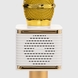 Игрушка Микрофон V8 Золотой (2000990071484) Фото 6 из 7