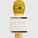 Игрушка Микрофон V8 Золотой (2000990071484) Фото 5 из 7