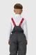 Комбинезон для мальчика H-117 куртка + штаны на шлейках 134 см Серый (2000989625469W) Фото 12 из 34