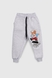 Спортивні штани з принтом для хлопчика Pitiki 9791 Ведмедик 110 см Сірий (2000990046765W) Фото 1 з 6