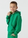 Костюм худі+штани дитячий Dinomin DM2401 140 см Зелений (2000990557896D) Фото 17 з 28