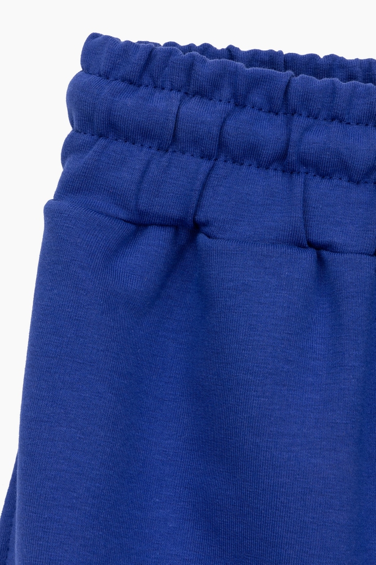Фото Спортивні штани прямі чоловічі Breezy 23203008 S Синій (2000989755272D)