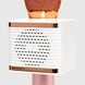 Игрушка Микрофон V7 Розово-золотой (2000990071491) Фото 6 из 7