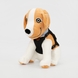 М'яка іграшка пес Патрон M15016 31 см Різнокольоровий (2000990136893) Фото 1 з 4