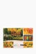 Альбом для малювання "Осінь" 12 аркушів 850-12-70 (6938247167825) Фото 1 з 2