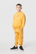 Костюм для хлопчика (худі+штани) Ecrin 2501 140 см Жовтий (2000990239709D) Фото 2 з 27