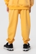 Костюм для хлопчика (худі+штани) Ecrin 2501 140 см Жовтий (2000990239709D) Фото 15 з 27