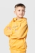 Костюм для хлопчика (худі+штани) Ecrin 2501 140 см Жовтий (2000990239709D) Фото 12 з 27