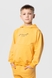 Костюм для хлопчика (худі+штани) Ecrin 2501 140 см Жовтий (2000990239709D) Фото 4 з 27