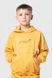 Костюм для хлопчика (худі+штани) Ecrin 2501 140 см Жовтий (2000990239709D) Фото 8 з 27