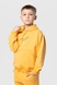 Костюм для хлопчика (худі+штани) Ecrin 2501 140 см Жовтий (2000990239709D) Фото 7 з 27