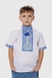 Сорочка з вишивкою для хлопчика КОЗАЧЕК ФІЛІП 164 см Синій (2000989882992S) Фото 1 з 12