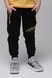 Спортивні штани для хлопчика з принтом Pitiki 1001-1 128 см Чорний (2000989523857D) Фото 1 з 15