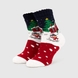 Шкарпетки дитячі Calze More НГ-12 36-40 Різнокольоровий (2000990179395W)(NY) Фото 2 з 9