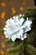 Новогоднее украшение "Цветок большой "Пион" Dashuri Голубой (2000990125774)(NY) Фото 1 из 3