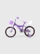 Велосипед дитячий DOUMOER LH1129118 16" Фіолетовий (2000990403469) Фото 2 з 13