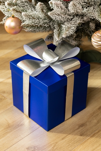 Коробка подарункова PY52643 30х30х25 см Синій (2000990241658)