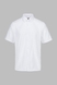 Рубашка однотонная мужская Demos 24-DJW 4XL Белый (2000990624444S) Фото 6 из 9