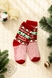 Шкарпетки дитячі Calze More НГ-16 36-40 Різнокольоровий (2000990202390W)(NY) Фото 1 з 9