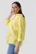 Рубашка однотонная женская AYN 1959 L Желтый (2000990421678S) Фото 3 из 12