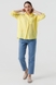 Рубашка однотонная женская AYN 1959 L Желтый (2000990421678S) Фото 2 из 12