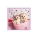 Головоломки - (3в1) - "Сладкие котята" / Trefl 34809 (2000903276395)