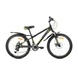 Велосипед RIDER DISK 24 сіро зелений (2000904429370) Фото 1 з 2