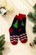 Шкарпетки дитячі Calze More НГ-2 36-40 Різнокольоровий (2000990179296W)(NY) Фото 1 з 9