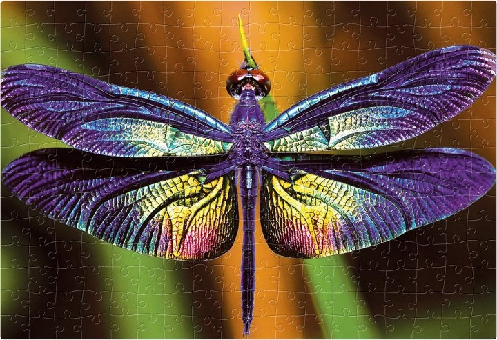 Пазли тришарові панорамні Барвиста природа Метелик Interdruk 342003 (5902277342003)