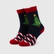 Шкарпетки дитячі Calze More НГ-2 36-40 Різнокольоровий (2000990179296W)(NY) Фото 2 з 9