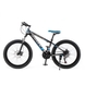 Спортивний велосипед BAIDONG MCH40-2 24" Синьо-чорний (2000989528838) Фото 10 з 11